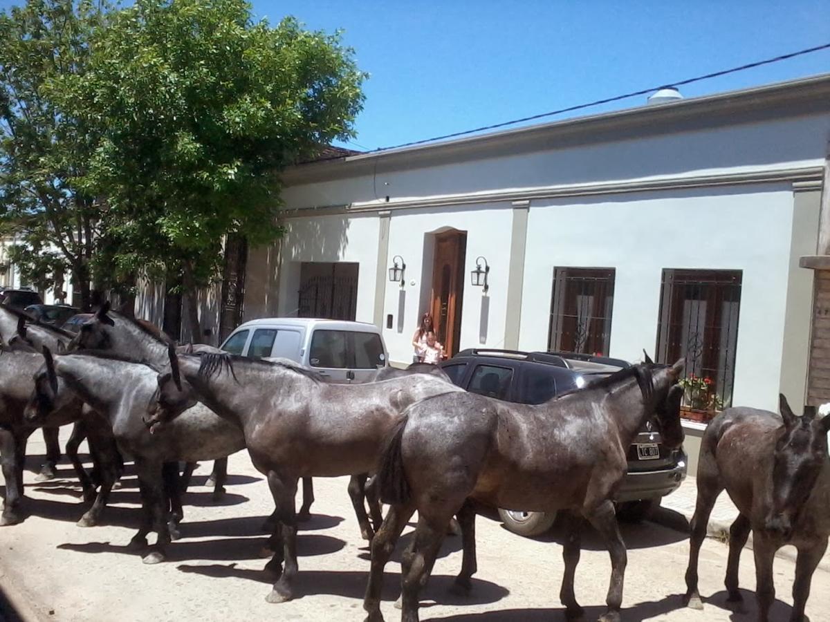 La Posada De Don Segundo San Antonio de Areco Eksteriør billede